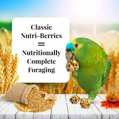 Antioxidantes y omega 3/6 en Nutri-Berries para pelaje y piel saludable