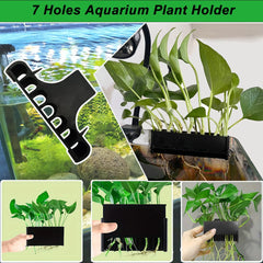Laikadi: planta acuario superior copa-colgante, favorece riego y crecimiento de plantas en la superficie.