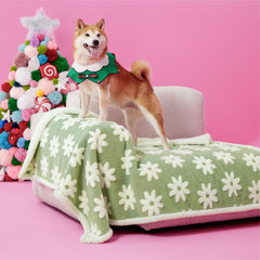Manta LE SURE impermeable para perros grandes, doble cara verde, protege el sofá.