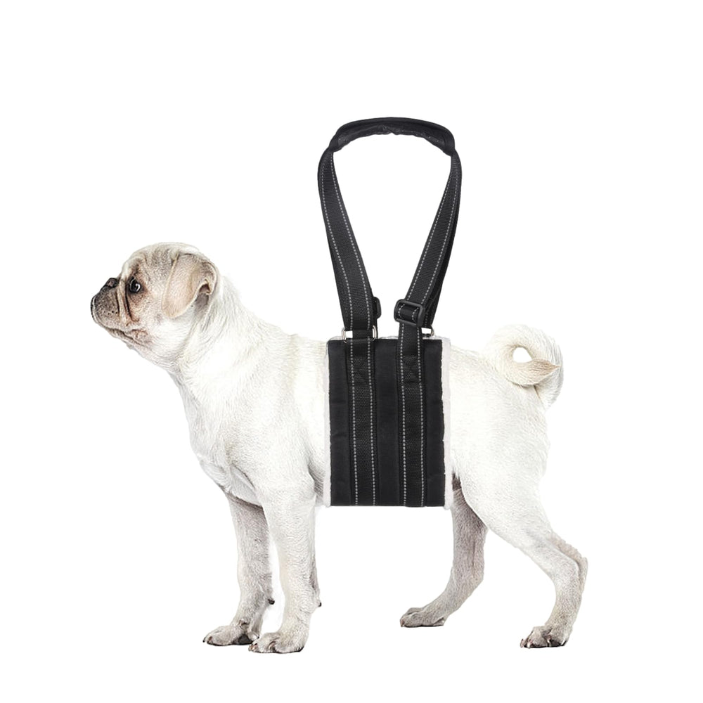 Lenpestia arnés elevación para perro, patas traseras, facilita levantarse y moverse con suavidad.