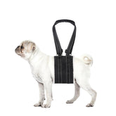 Lenpestia arnés elevación para perro, patas traseras, facilita levantarse y moverse con suavidad.