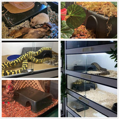 Leoterra Esconderijo Serpiente, diseño sin olor para un ambiente limpio.
