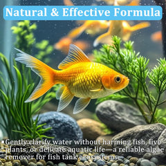 LeoTube ingredientes naturales: tableta suave para acuarios con peces y plantas