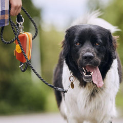 Lepawit porta desechos canino con diseño a juego, ideal para paseos diarios.