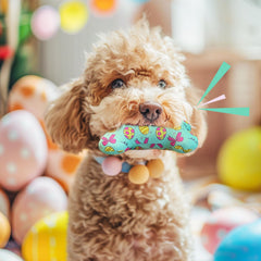 Lepawit set de 4 juguetes pascua para perros