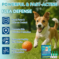 Lerqua: fórmula recomendada por veterinarios para uso doméstico en perros.