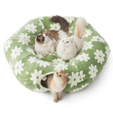 LE SURE Lesure túnel para gatos grande, cama redonda y cómoda para siestas