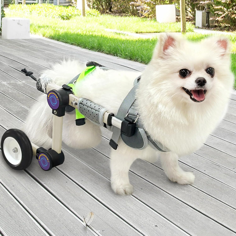 LetPetRun Silla de ruedas para perro, ajuste de altura, mejora movilidad cotidiana
