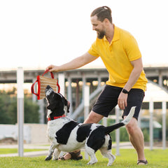 Libima Almohada entrenamiento perro-resistente: duradera para entrenamientos al aire libre.
