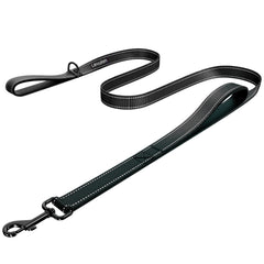 LIEVUIKEN correa para perros 4ft, ideal para paseos diarios seguros.
