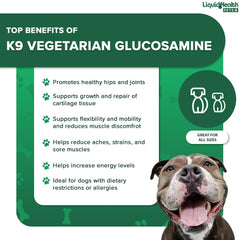LIQUIDHEALTH dosis diaria, perro glucosamina, uso recomendado para articulaciones