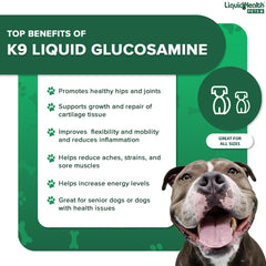 LiquidHealth K9, perro bebiendo jugo, ayuda a mantener articulaciones sanas.