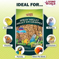 Living World mijo-100-sin-aditivos: opción limpia y segura para tus pájaros.