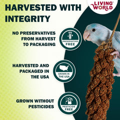 Living World mijo en aerosol: canarios en jaula disfrutan un snack sabroso