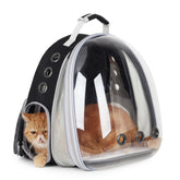 Lollimeow: ventana burbuja para observar el entorno con tu gato