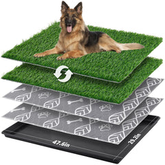 LOOBANI caja para perros grandes con instalación completa de césped sintético para interior.