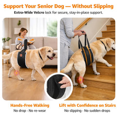 LOOBANI Sostén de patas traseras para rehabilitación y subir escaleras.