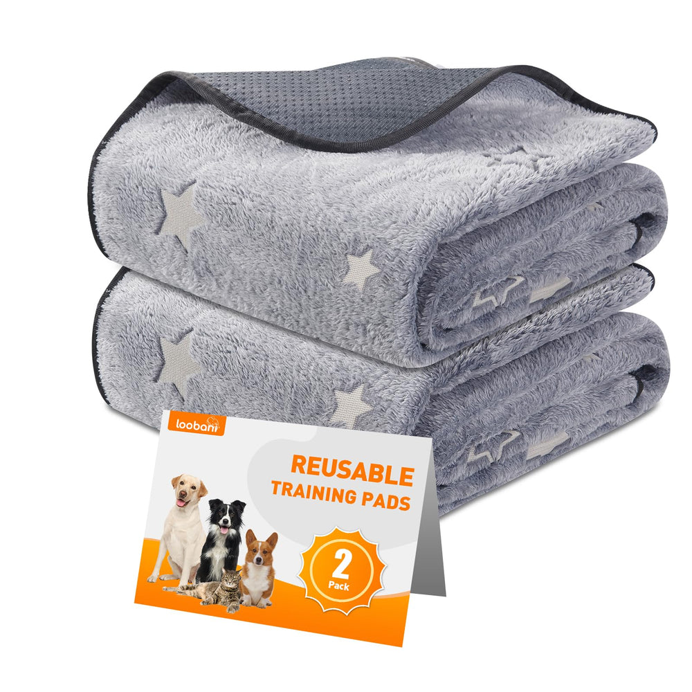 LOOBANI pad para perros absorbente, rápido para entrenamiento y protección del suelo.