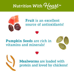 Love My Girls Sin maiz, snack gourmet sin maiz para gallinas saludables.