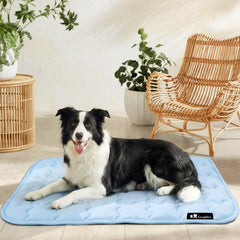 Luciphia almohadilla enfriante para perro sobre superficie estable y no resbaladiza