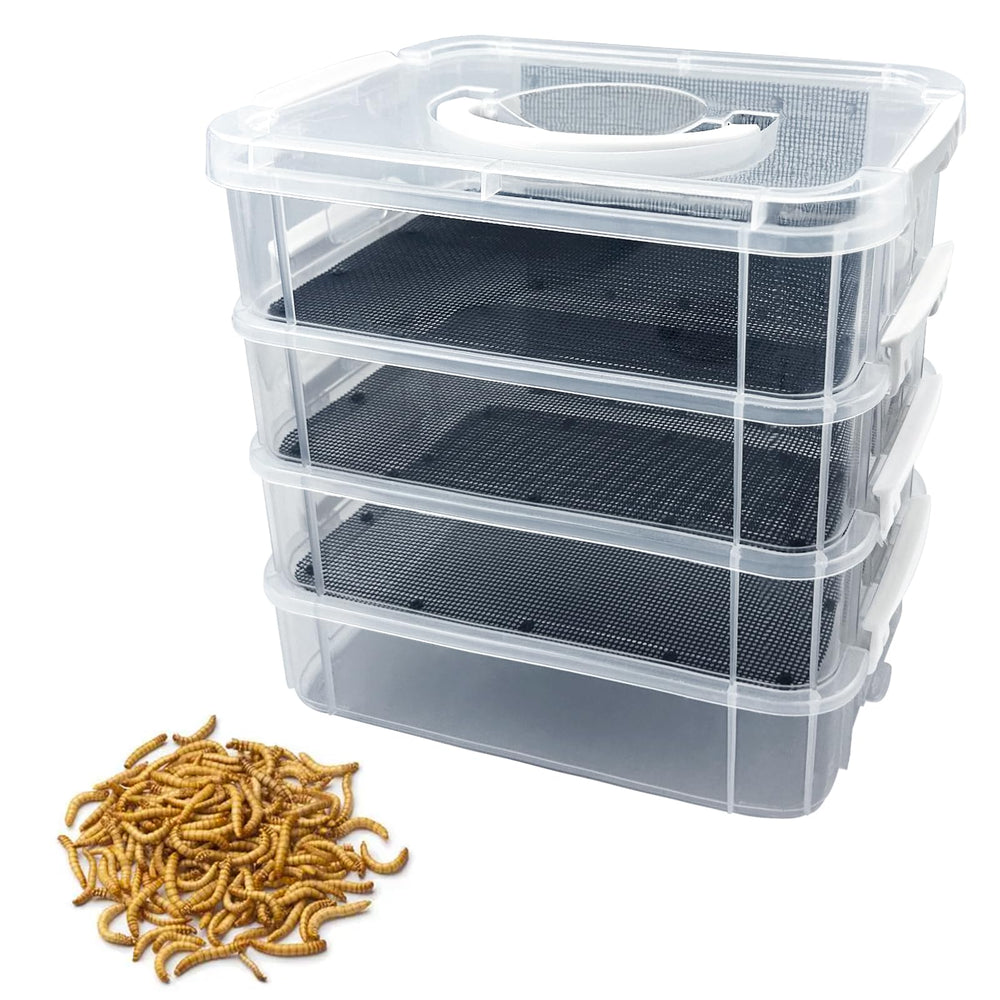 Kit LUKHMELF para cría de gusanos de harina, cuatro niveles, observación general para manejo eficiente.