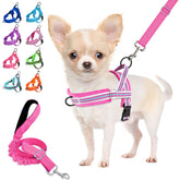 Lukovee arnés antitirones para perro pequeño con ajuste cuello-pecho para caminar cómodo