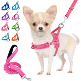 Arnés Lukovee para perro pequeño con ajuste cuello y pecho para comodidad diaria.