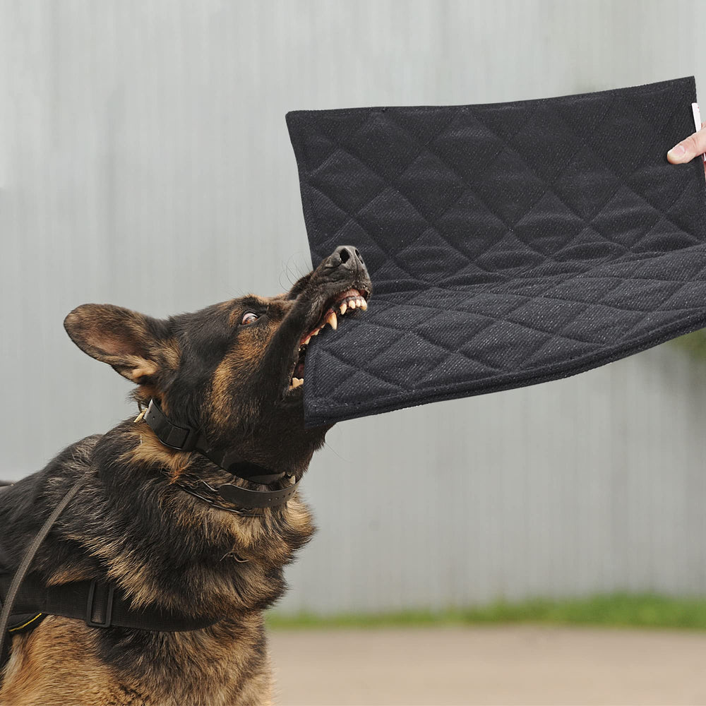 MABOZOO cama para perro indestructible, a prueba de mordidas, uso diario.