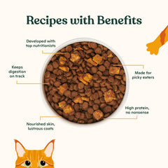 Made by Nacho Croquetas para Gatos: salmón sostenible como ingrediente principal, proteína de calidad.