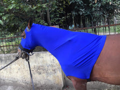 Capucha Majestic Ally para caballo, cinturón elástico amplio y ajuste estable.