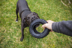 Mammoth TireBiterII: durabilidad de goma natural para perros grandes