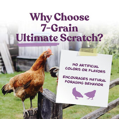 Mezcla multigrano de Manna Pro 7-Grain Ultimate Scratch para picoteo natural