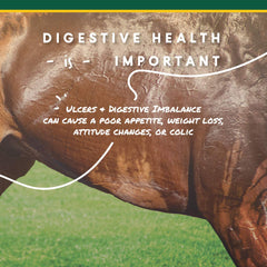Manna Pro Corta-Flx U-Gard Pellets, textura suave que facilita la ingesta.