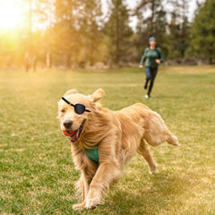 Parche ocular MANON ROSA para perro mediano, cómodo y seguro.