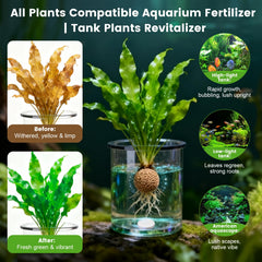 Maozyiltle Tabs en Substrato junto a plantas para nutrición raíz