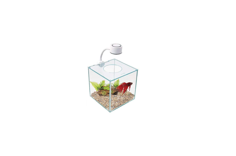 Marina CUBUS, acuario de cristal para betta, diseño elegante para sala o escritorio.