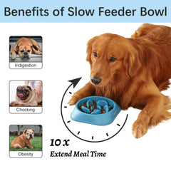 MateeyLife comedero-perro-puzzle detalle laberinto promueve comer despacio.