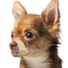 Bozal Mayerzon para perro chihuahua, ajuste cómodo para uso diario
