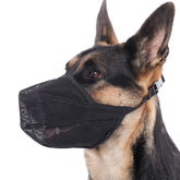 Mayerzon bozal perro malla suave, vista frontal, cómodo durante paseos