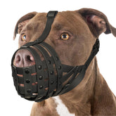 Mayerzon mordaza para perros grandes: dos tallas para ajuste perfecto durante paseos