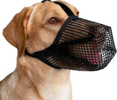 Mayerzon muselière chien maille douce: respiration confortable lors des promenades.