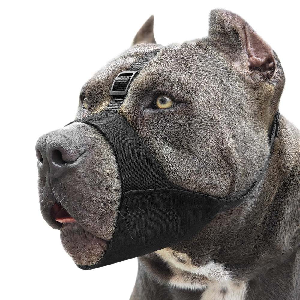 Bozal Mayerzon Pitbull, vista frontal, diseño ergonómico para hocicos cortos.