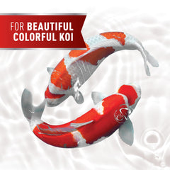 Mazuri Koi Premium Food Large: bolita >12 pulgadas, nutrición para koi grandes.