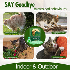 Bolas repelentes de gatos de Mgviiiva para interiores que evitan arañazos en muebles.