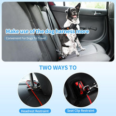 Mi Metty, deux attaches et boucle pour connecter rapidement le chien