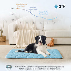 MICROCOSMOS alfombra azul para perros, base antideslizante segura en casa