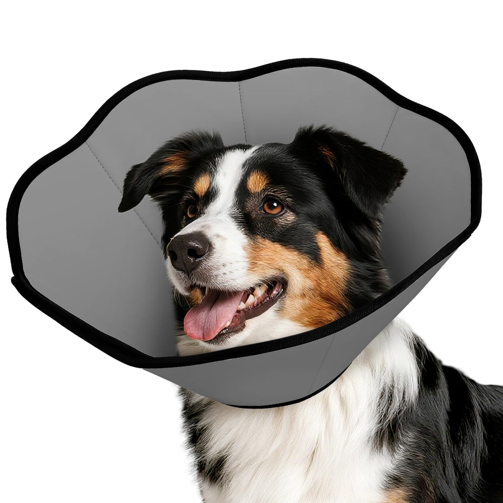Collar cono MIDOG para perro tras cirugía protege heridas y suturas.