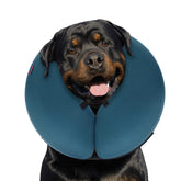 MIDOG Donut inflable: collar suave para perro azul XL evita lamer heridas