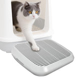Midollarle rampa para gato junto a caja de arena, facilita subir al entrar a la caja