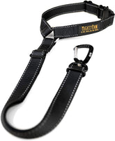 Mighty Paw ceinture chien voiture appui-tete pour une conduite plus sûre.